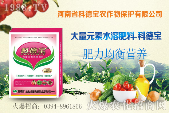 ��֦ʲô�r�g���죿��֦���A�\��������Щ��