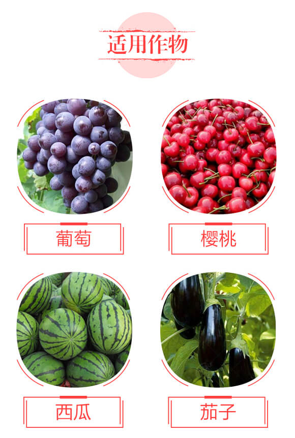 調理型微生物菌肥—果然好-鼎盛河山_04