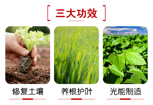 �V���������B(t��i)�Ƽ����޹�˾�aƷԔ���3_04