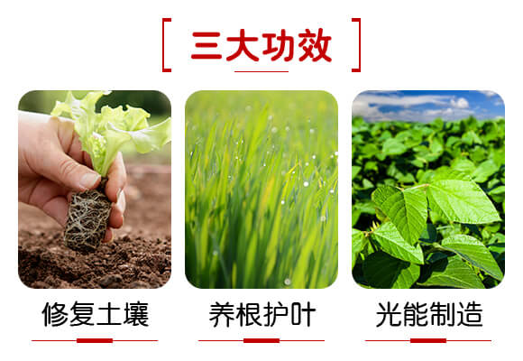 �V���������B(t��i)�Ƽ����޹�˾�a(ch��n)ƷԔ���1_03