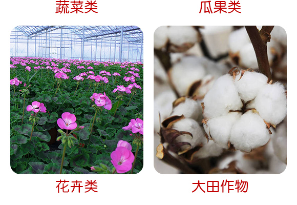 �V���������B(t��i)�Ƽ����޹�˾�aƷԔ���3_08