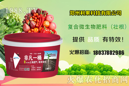 2020年種植辣椒賺錢嗎？種植前景如何？辣椒一畝地產(chǎn)量有多少？