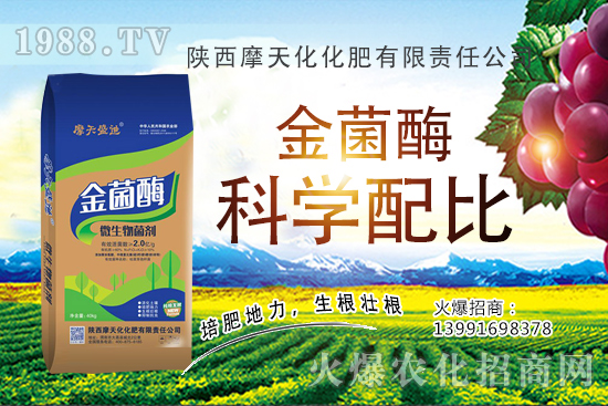 種一畝蘋(píng)果的成本是多少，有多少利潤(rùn)？蘋(píng)果種植技術(shù)與管理！