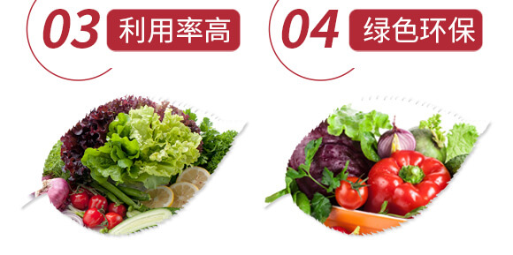 地下根莖膨大素-膨大師-中瑞歡田-中瑞利農(nóng)_07