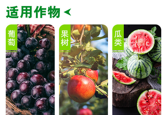 青島佐邦生物科技有限公司產(chǎn)品詳情頁(yè)2_04