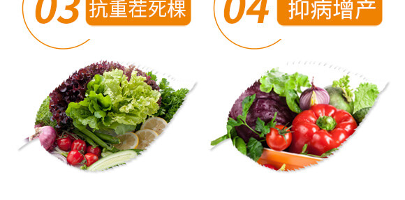 ����������-��ֲ��_07