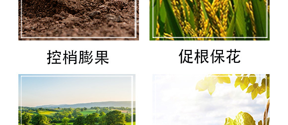 白粉型抑菌劑-粉無蹤-碩達_07