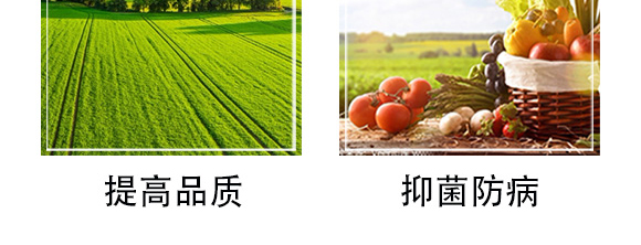 白粉型抑菌劑-粉無蹤-碩達_08