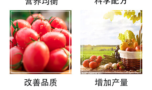 生物有機肥（紅）-豐農(nóng)_05