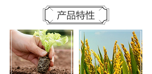 白粉型抑菌劑-粉無蹤-碩達_06