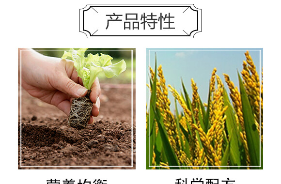 生物有機肥（紅）-豐農(nóng)_04