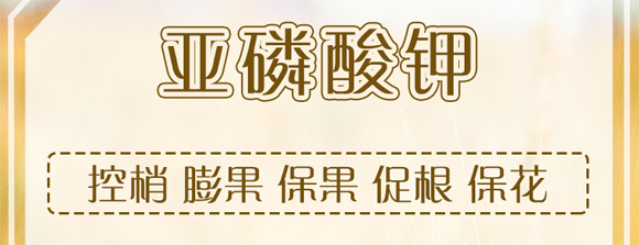 白粉型抑菌劑-粉無蹤-碩達_01