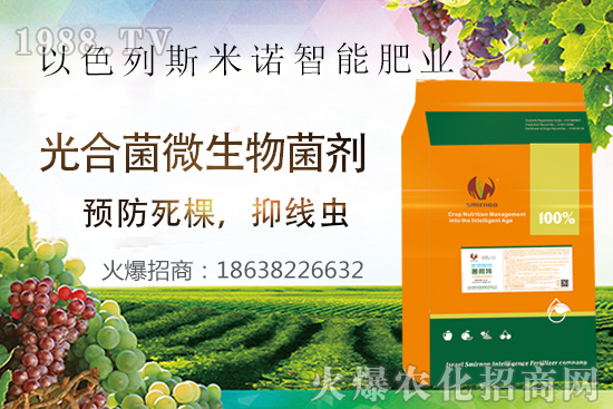 ���Y(ji��)���xΣ������̫�y��������΢�ء����æ�����ƾ��x���x�����Ƀ���