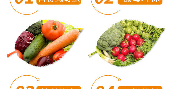 5%啶蟲(chóng)脒+20%呋蟲(chóng)胺-永佳明珠-永佳之星_07