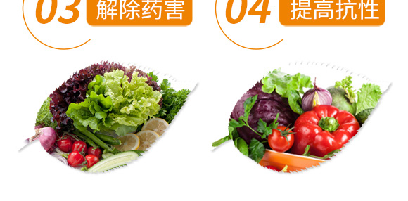 高產(chǎn)綠滿(mǎn)天-郭師傅-立信生物_08