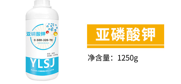 白粉型抑菌劑-粉無蹤-碩達_05