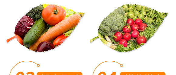 大量元素型含腐植酸水溶肥料(桶)-噴施肥-鴻田-新豐田_07