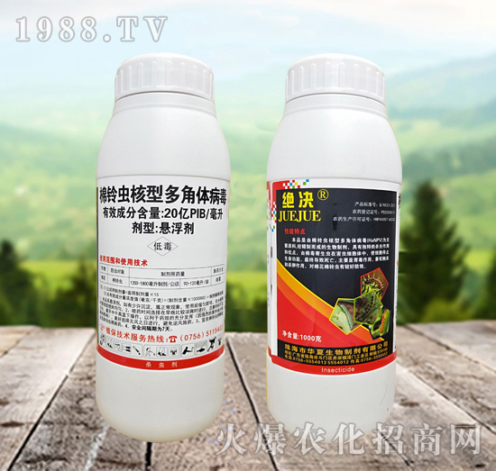 棉鈴蟲(chóng)核型多角體病毒殺什么蟲(chóng)?效果怎么樣?怎么選擇?