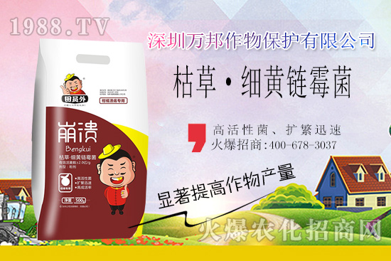 柑橘潰瘍病危害一年比一年嚴(yán)重，柑橘潰瘍病如何防控？