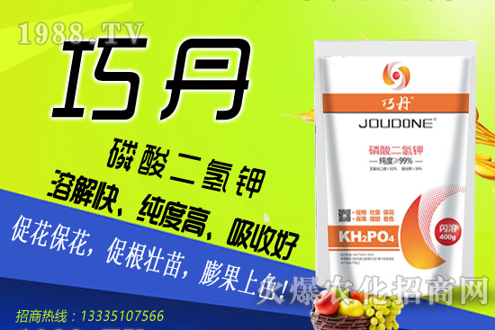 茄子需肥特性有哪些，夏季茄子高產(chǎn)管理技巧！