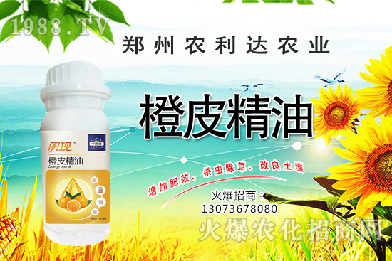 橙皮精油您了解多少？橙皮精油有什么作用？怎么選橙皮精油？