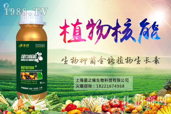 ����x������