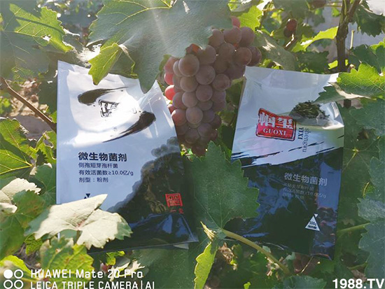 好產(chǎn)品好作用，“一璽生物”微生物菌劑“幗璽”客戶真實反饋！