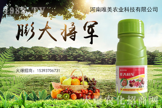 果實(shí)膨果慢、果實(shí)小怎么解決？果實(shí)膨果肥的選擇有哪些？