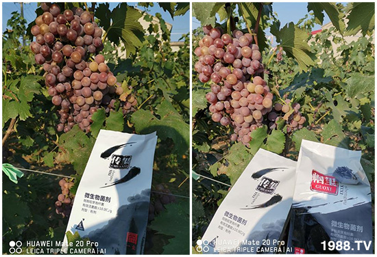 好產(chǎn)品好作用，“一璽生物”微生物菌劑“幗璽”客戶真實反饋！