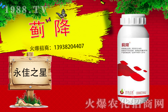 薊馬危害癥狀有哪些？用什么藥能有效防治？