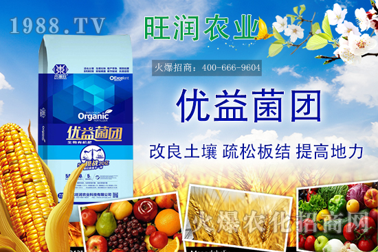 �����ЙC����ʲô�ʣ������ЙC�ʵă�(y��u)�����c�������ϵą^(q��)�e��