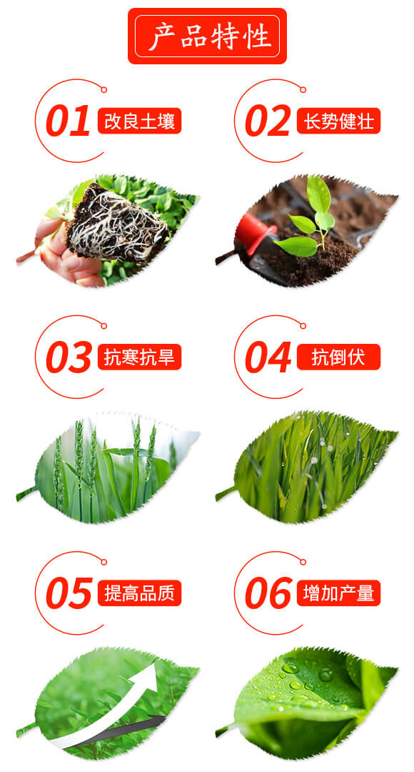 ��������-���@����-����_03