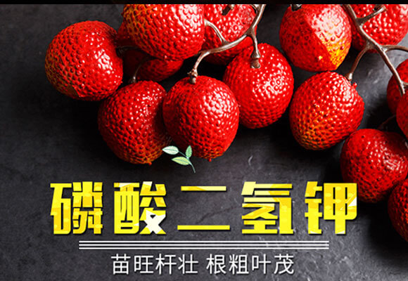 �������⛣�10ǧ�ˣ�-����Z_01