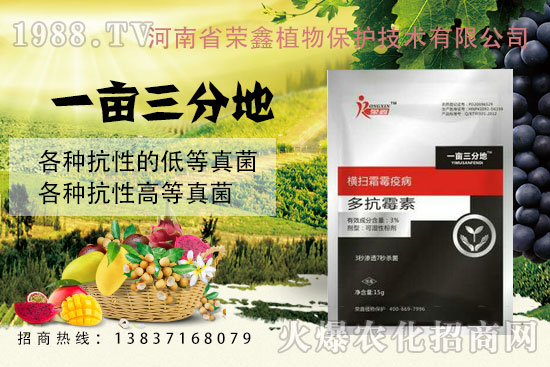 白粉、繡病、霜霉病害真難打？防治藥劑有哪些？殺菌產(chǎn)品匯總！