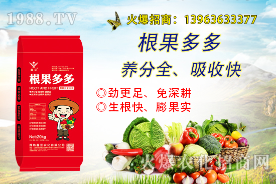 膨果慢！生根差！怎么辦？“根果多多”帶你探索果實膨果生根真諦！