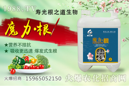 要想作物好，根系更重要！壽光根之道怎么樣？有哪些爆款產(chǎn)品？