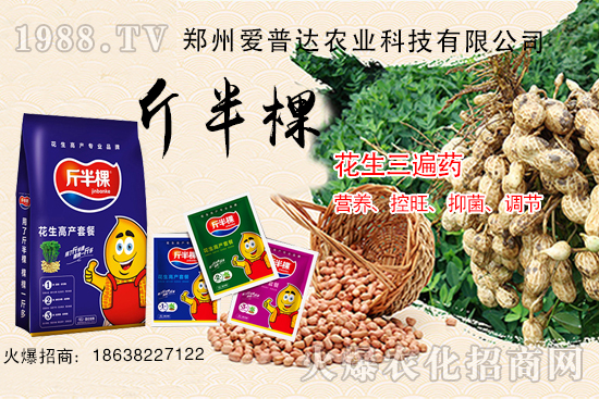 花生三遍藥什么時期使用？花生三遍藥有哪些作用？