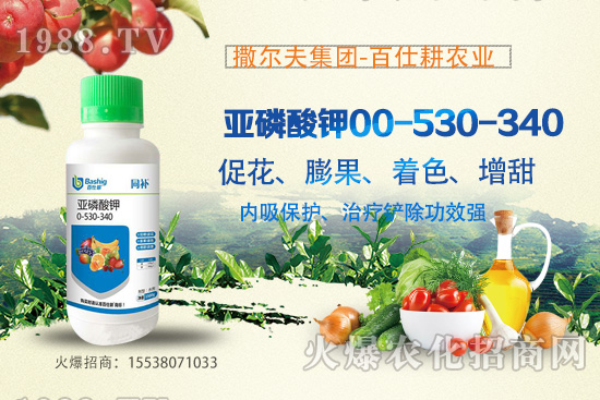 營養(yǎng)控梢,預(yù)防潰瘍!亞磷酸鉀真的這么牛嗎?亞磷酸鉀作用原理!