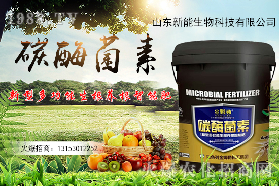 һ�ʶ��ã��ЙC(j��)̼+����ø+�����+�I(y��ng)�B(y��ng)Ԫ����̼ø������ʲô������