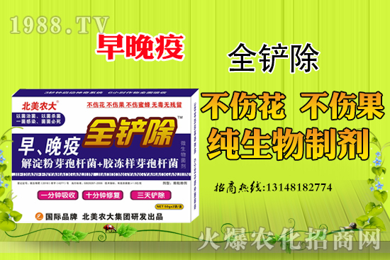 早晚疫危害嚴(yán)重，早晚疫防治措施有哪些？