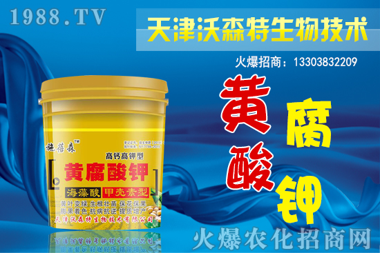 尿素價格