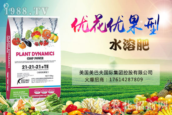 果實果小、不膨果？不妨試試“優(yōu)花優(yōu)果型水溶肥”，著色美果又增甜！