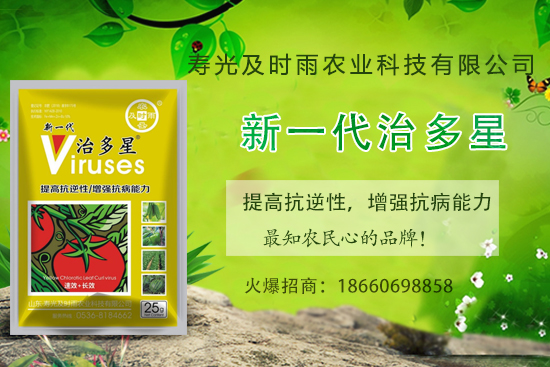 番茄病毒病你知道幾種?怎樣合理防治番茄病毒???(內(nèi)附防治方法)
