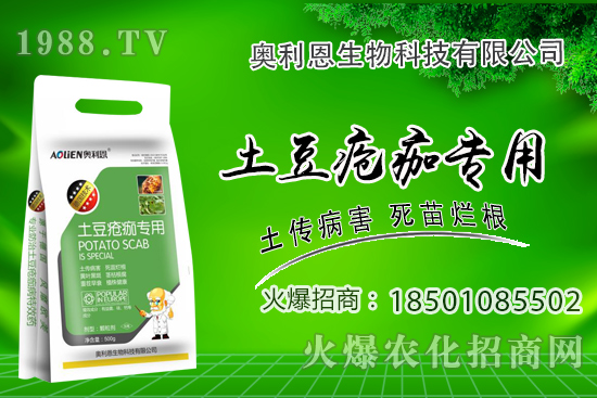 土豆瘡痂病什么癥狀？為什么難防治？土豆瘡痂病防治措施！