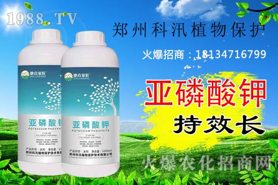 亞磷酸鉀功效及殺菌機理有哪些,亞磷酸鉀你用的合理嗎?