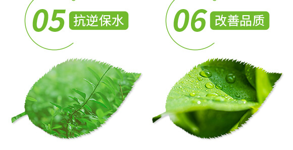 礦源黃腐酸鉀-黑色革命-愛農(nóng)斯達(dá)_06