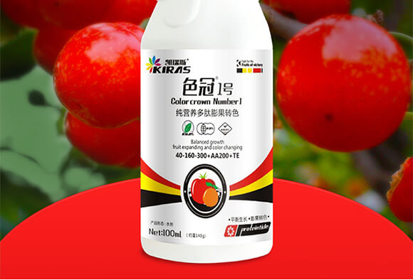 純營(yíng)養(yǎng)多肽膨果轉(zhuǎn)色-色冠1號(hào)-凱瑞斯_02