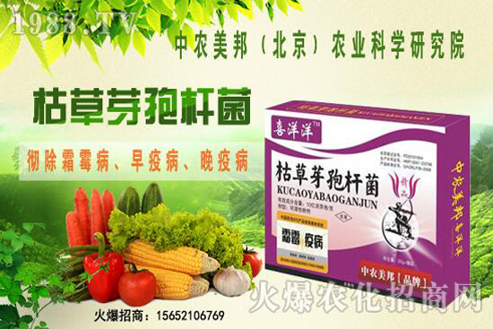 枯草芽孢桿菌治根腐病嗎，防治哪些土傳病害？防治對象有哪些？