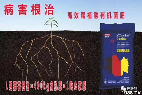     如何讓種植變得更輕松？一個(gè)套餐，全面配方，巴斯特大姜營(yíng)養(yǎng)套餐方案！