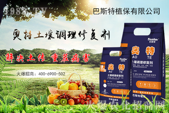     如何讓種植變得更輕松？一個(gè)套餐，全面配方，巴斯特大姜營(yíng)養(yǎng)套餐方案！